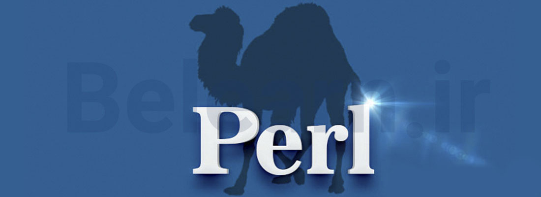زبان perl - زبان برنامه نویسی برای هکر شدن - کمپین آموزشی بی لرن